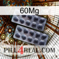 60Mg 31